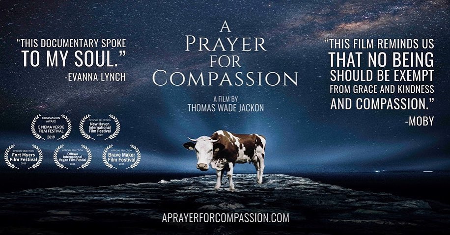 Project Animal Freedom