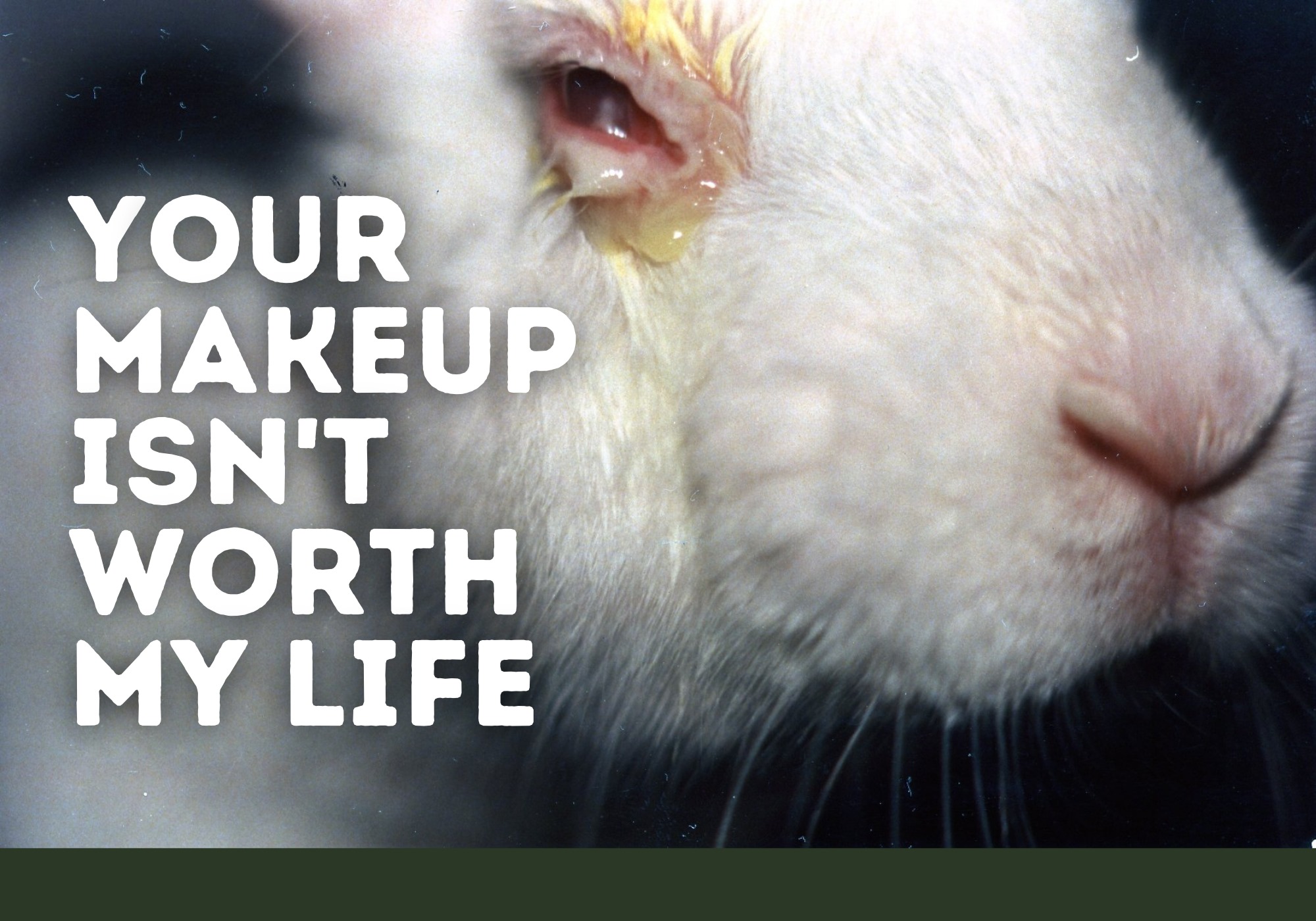 Project Animal Freedom