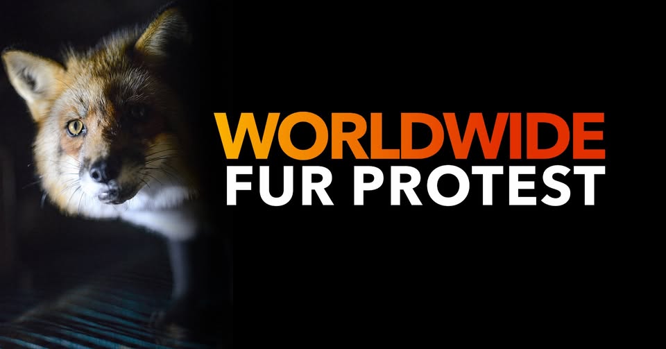 Project Animal Freedom