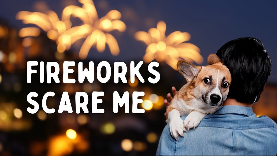 Project Animal Freedom
