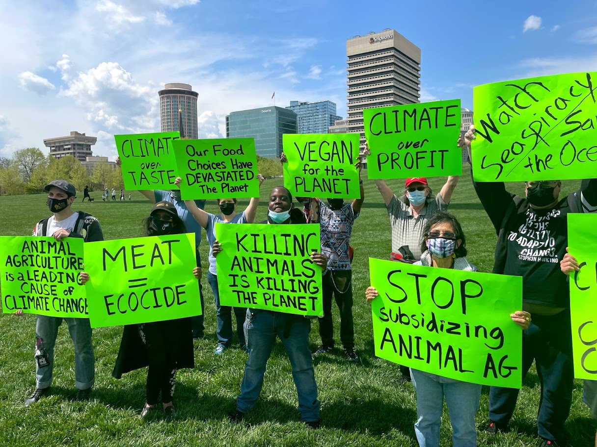 Project Animal Freedom