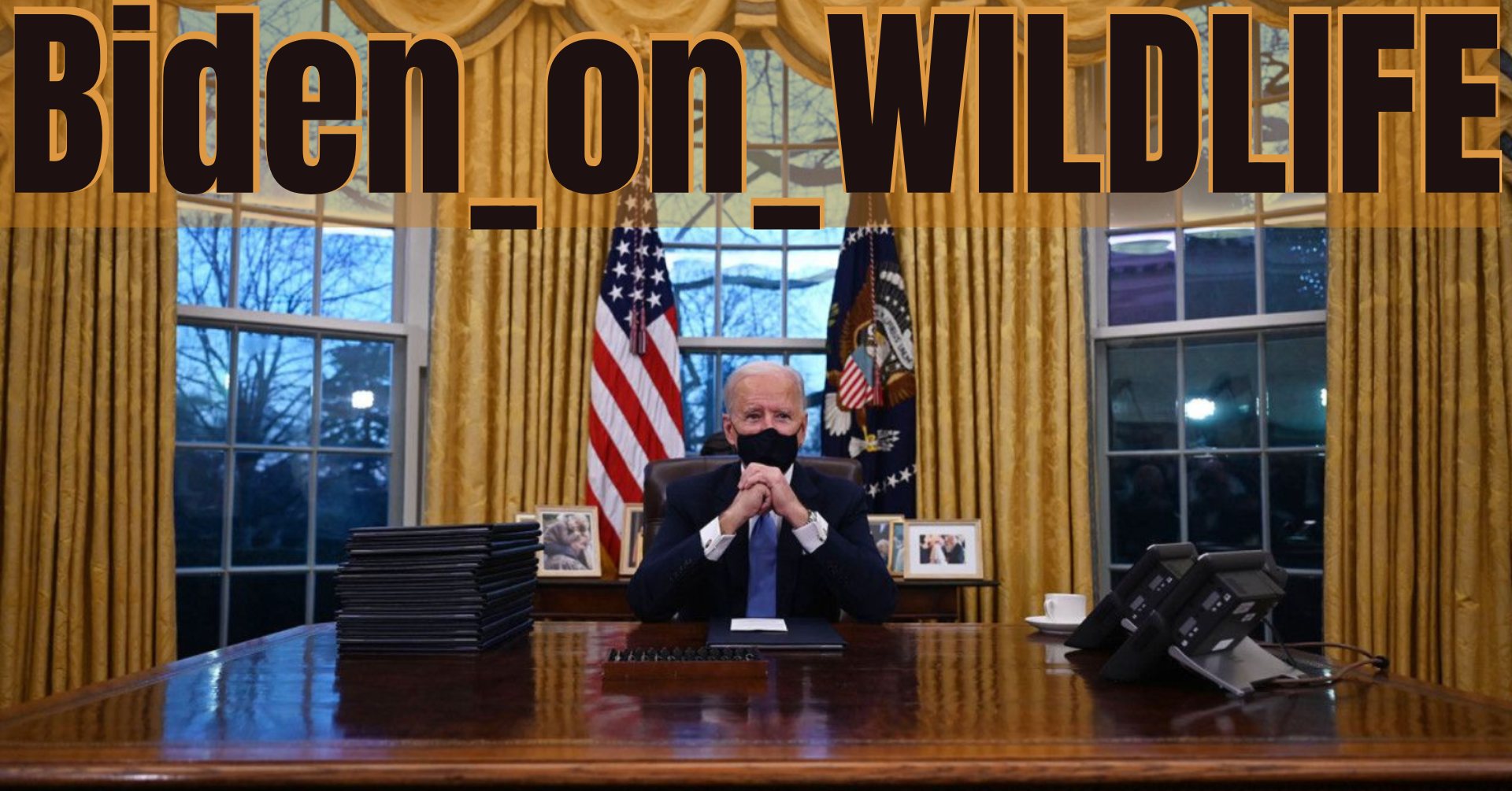 Project Animal Freedom
