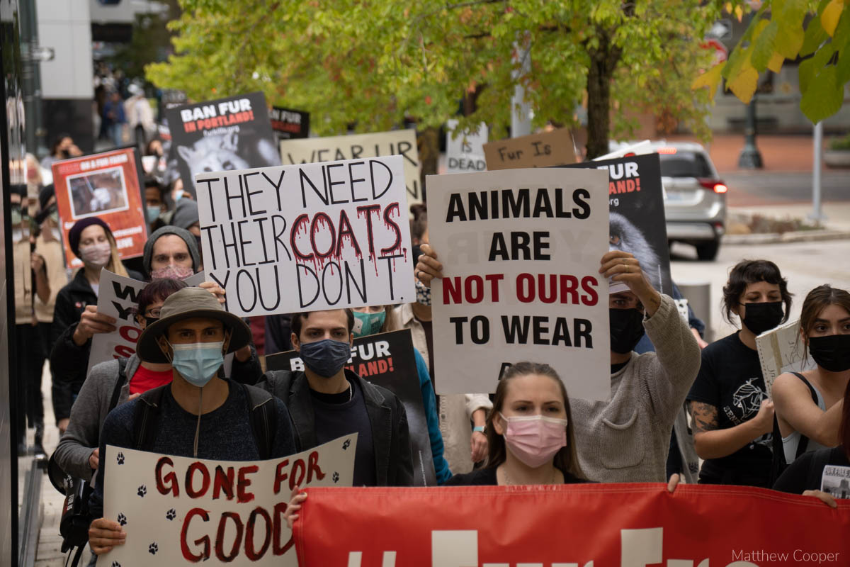 Project Animal Freedom