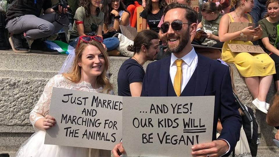 Project Animal Freedom