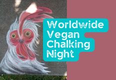 Project Animal Freedom