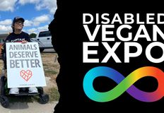 Project Animal Freedom