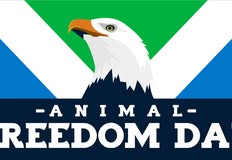 Project Animal Freedom
