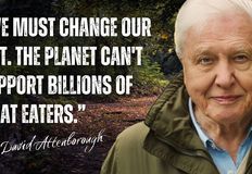 Project Animal Freedom