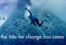 Project Animal Freedom