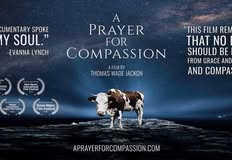 Project Animal Freedom