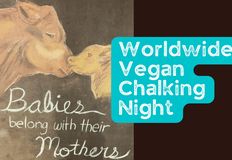 Project Animal Freedom