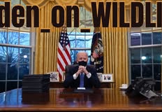 Project Animal Freedom