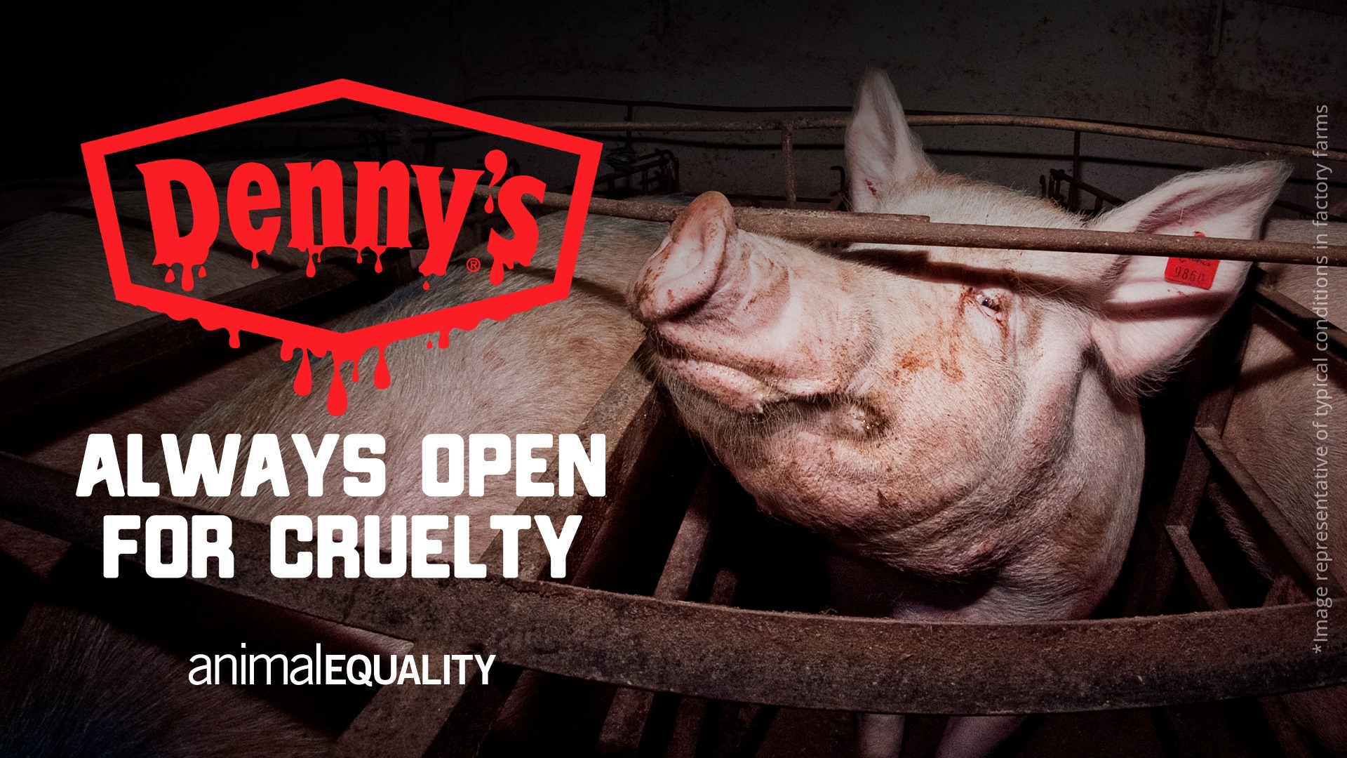 Animal Equality