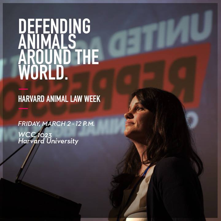 Animal Equality