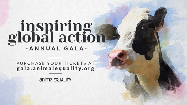 Animal Equality