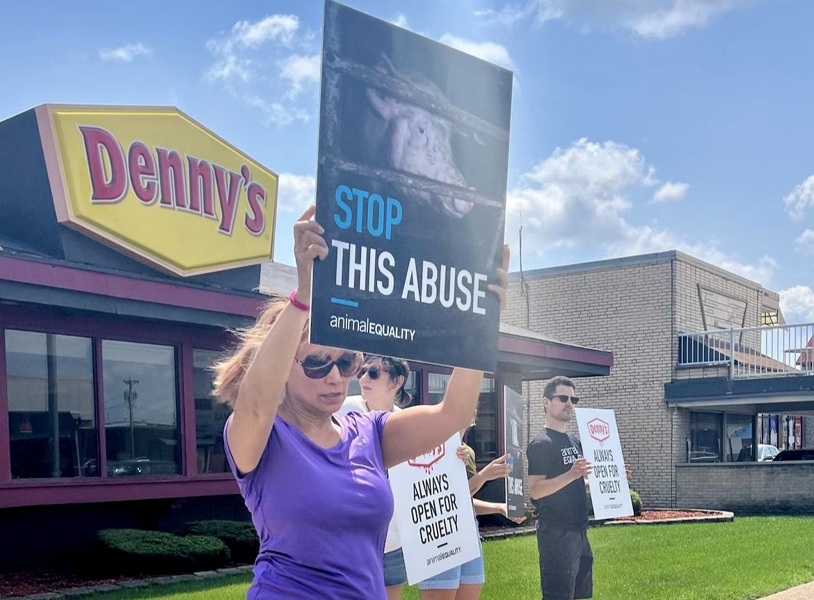 Animal Equality