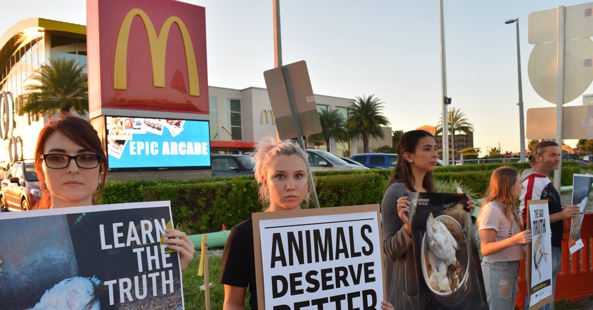 Animal Equality