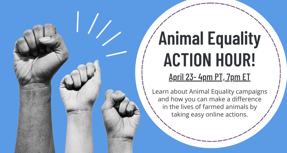 Animal Equality