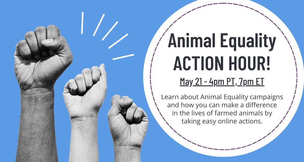 Animal Equality