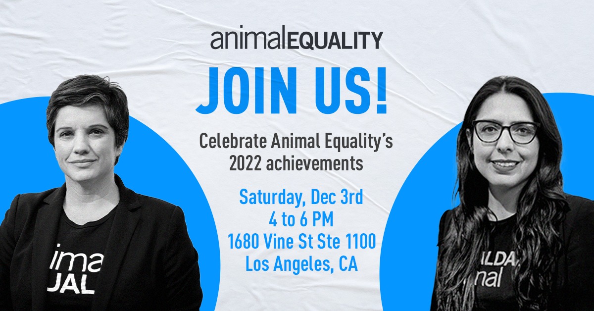 Animal Equality