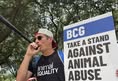 Animal Equality