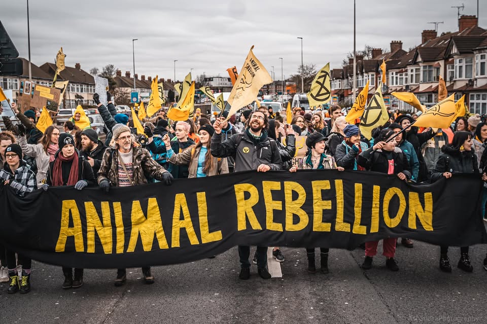 Animal Rising