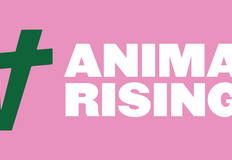 Animal Rising