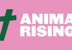 Animal Rising