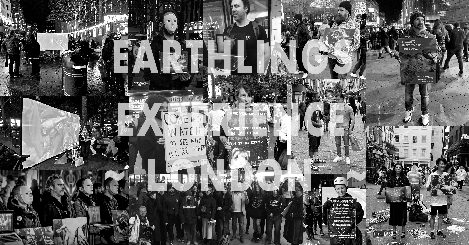 Earthlings Experience