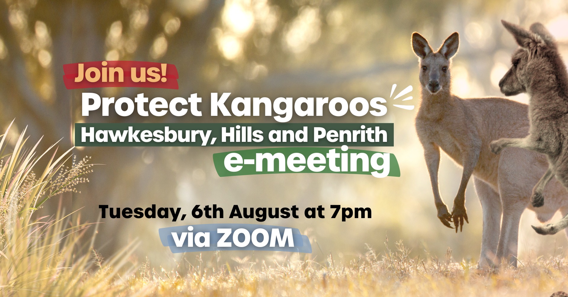 Animal Justice Party NSW