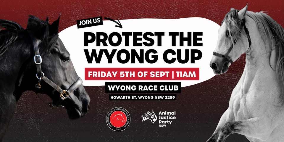 Animal Justice Party NSW
