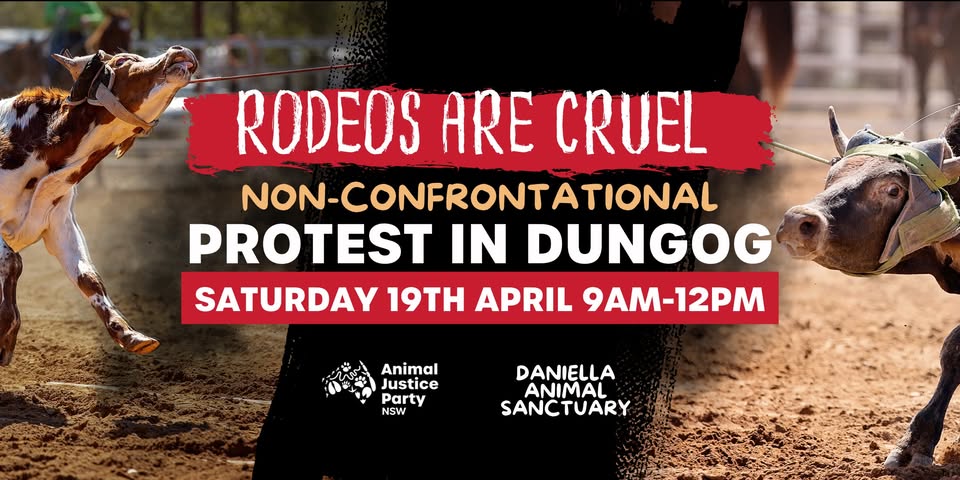 Animal Justice Party NSW