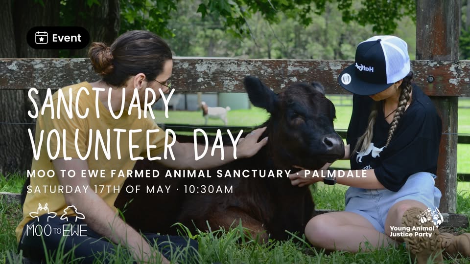 Animal Justice Party NSW