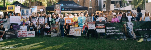 Animal Justice Party NSW