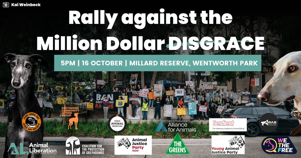 Animal Justice Party NSW