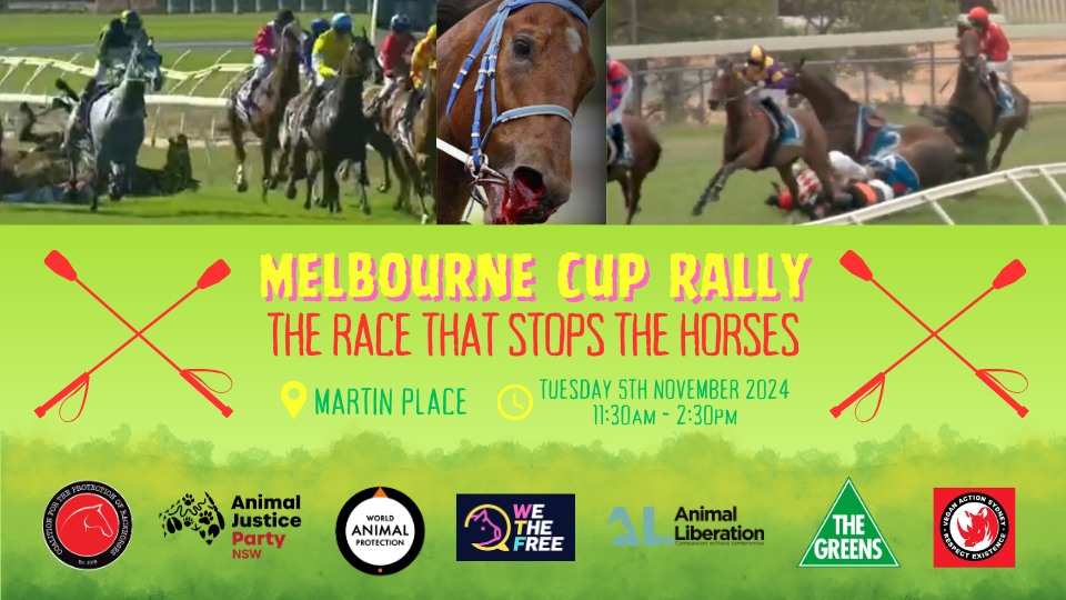 Animal Justice Party NSW