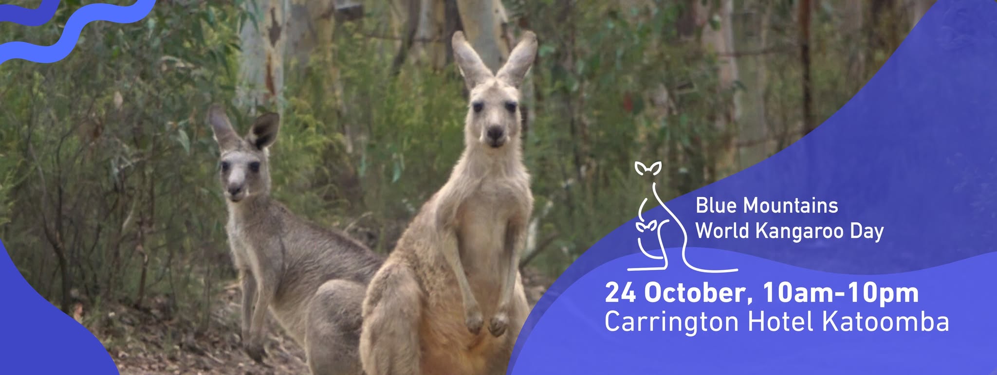 Animal Justice Party NSW