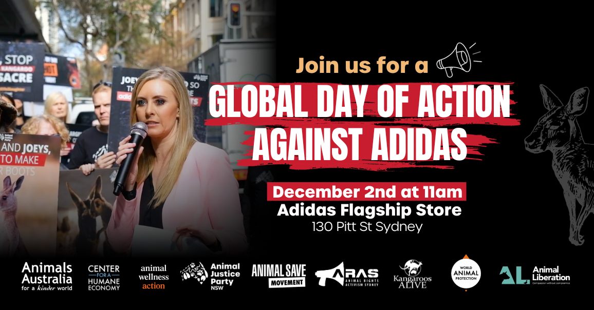 Animal Justice Party NSW