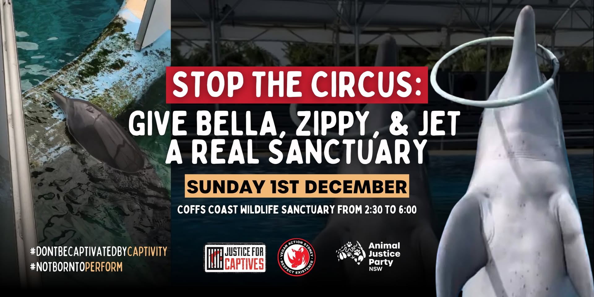 Animal Justice Party NSW