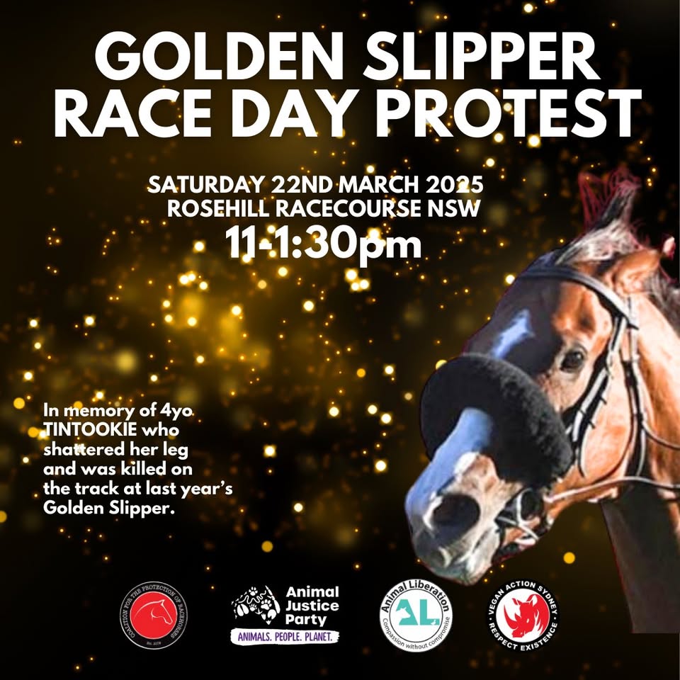 Animal Justice Party NSW