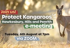 Animal Justice Party NSW