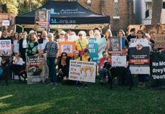 Animal Justice Party NSW