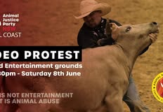 Animal Justice Party NSW
