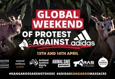 Animal Justice Party NSW