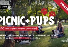 Animal Justice Party NSW