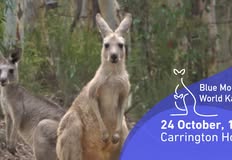 Animal Justice Party NSW