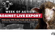 Animal Justice Party NSW