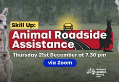 Animal Justice Party NSW