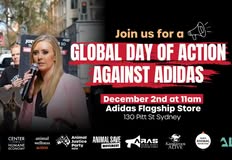 Animal Justice Party NSW