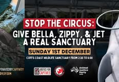 Animal Justice Party NSW